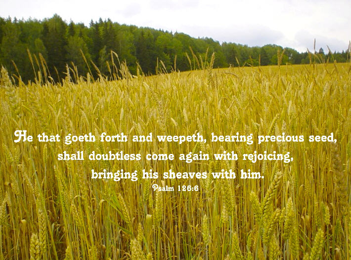 scripture-verse-photo-gallery